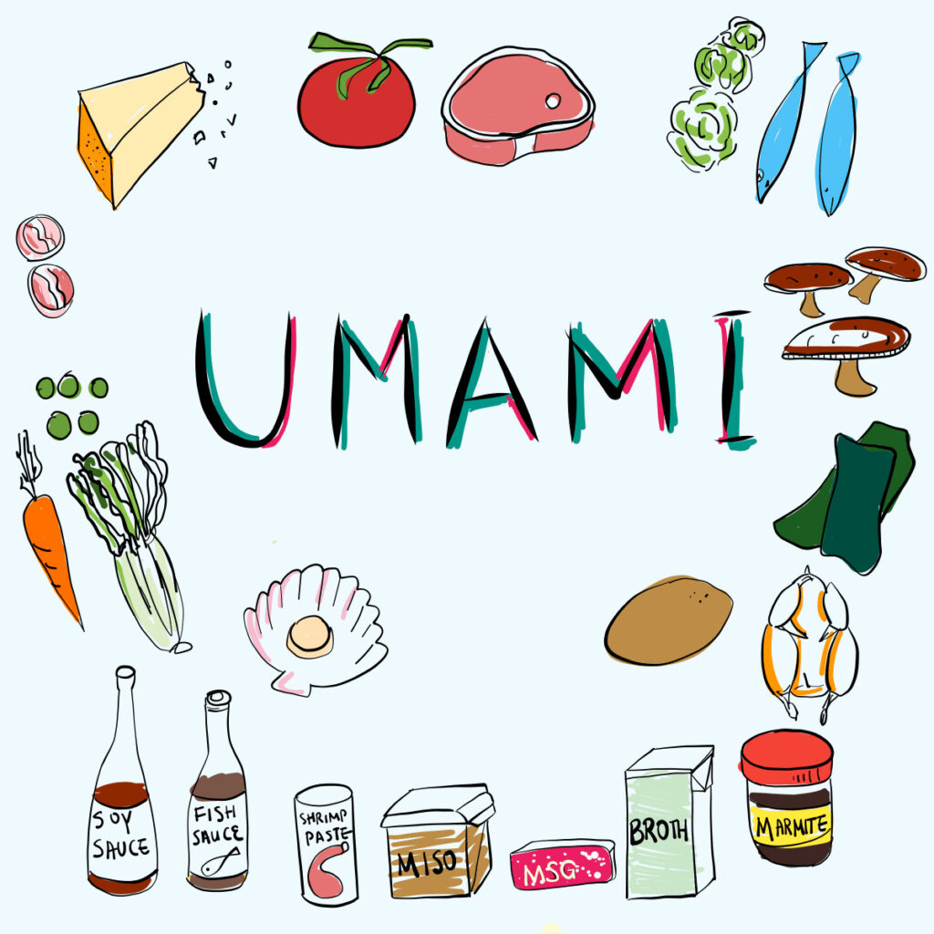 Umami là gì? Khám phá vị ngon thứ 5 và vai trò của Umami trong ẩm thực